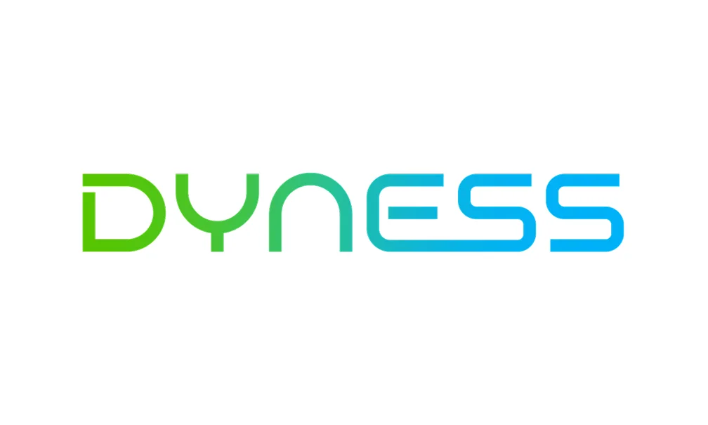Dyness